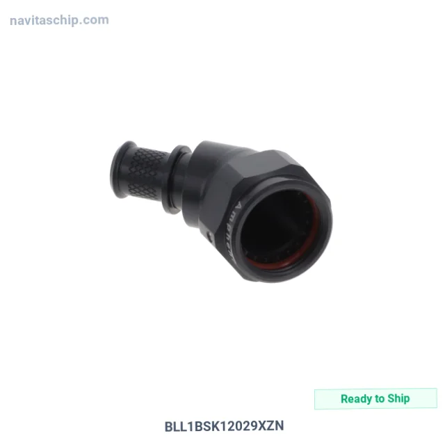BLL1BSK12029XZN