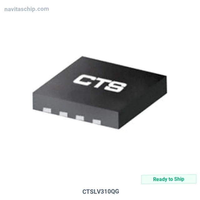 CTSLV310QG