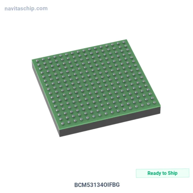 BCM53134OIFBG