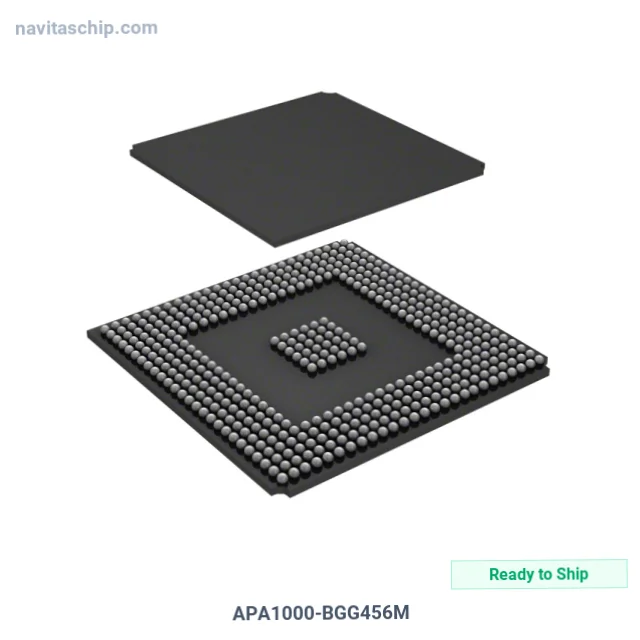 APA1000-BGG456M