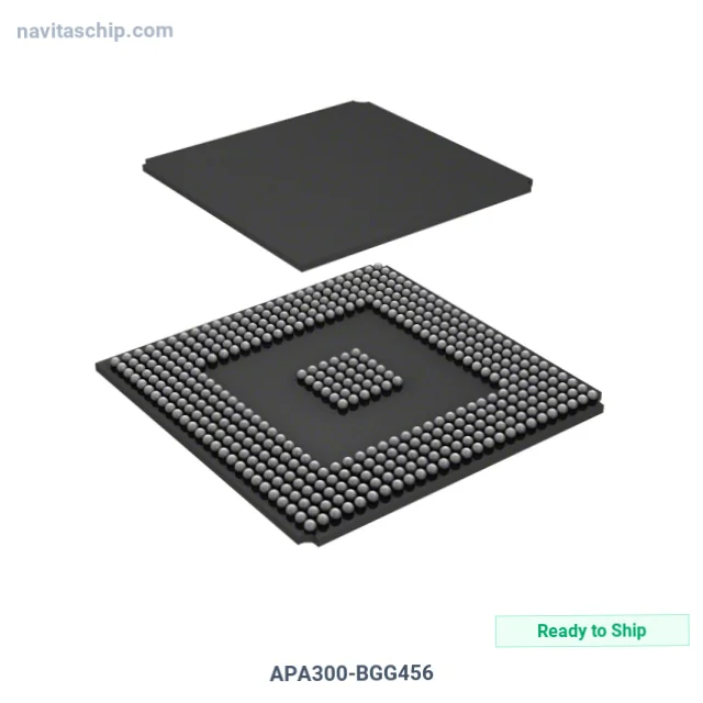 APA300-BGG456