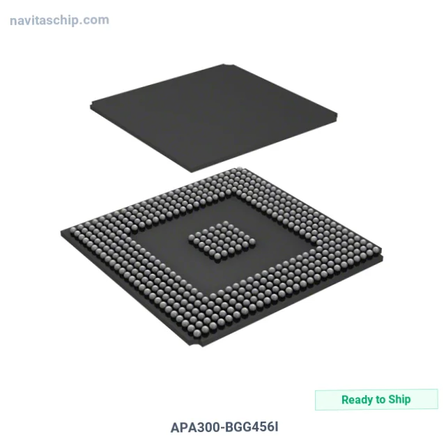 APA300-BGG456I