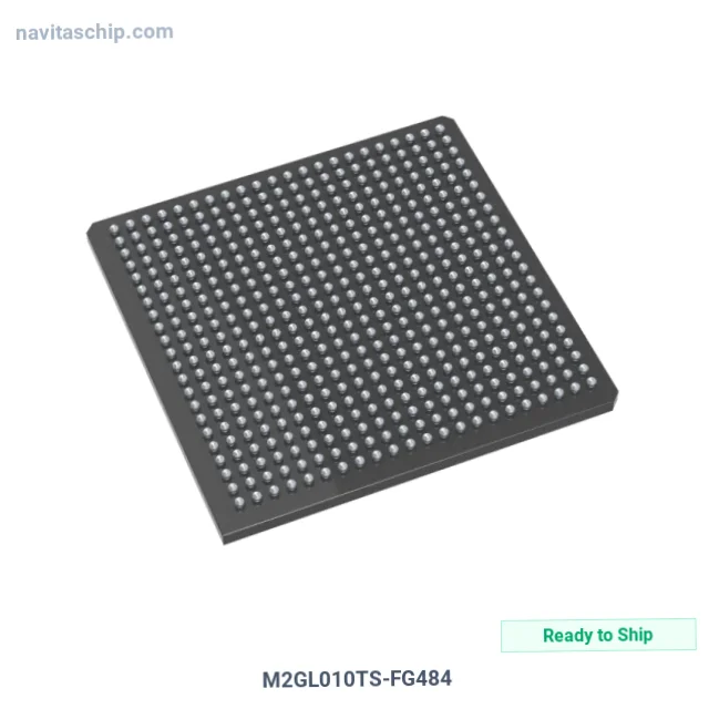 M2GL010TS-FG484