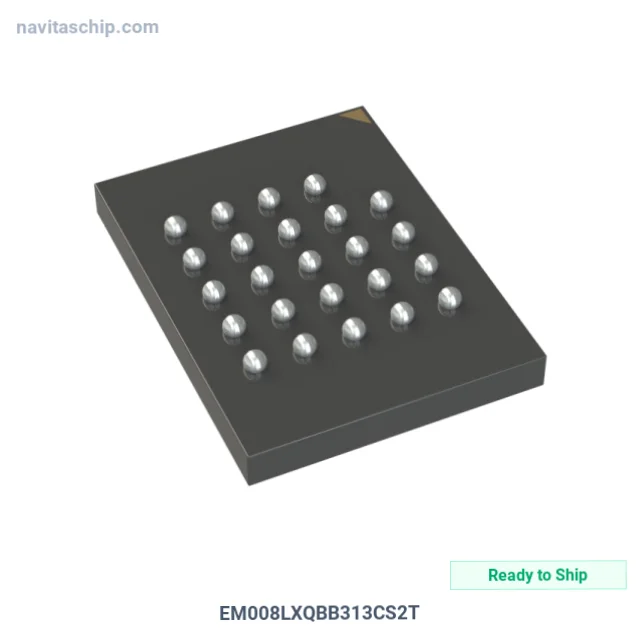EM008LXQBB313CS2T