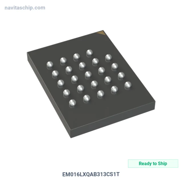 EM016LXQAB313CS1T