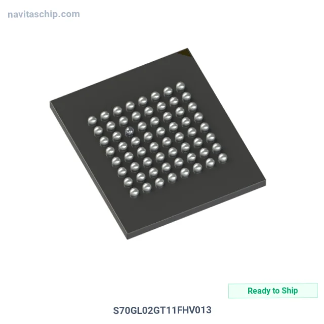S70GL02GT11FHV013