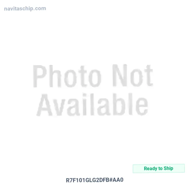 R7F101GLG2DFB#AA0