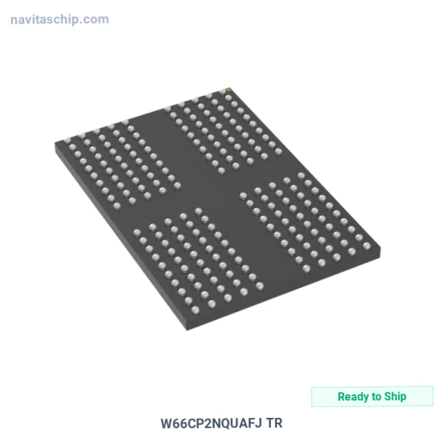 W66CP2NQUAFJ TR