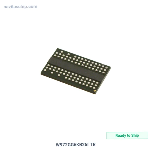 W972GG6KB25I TR