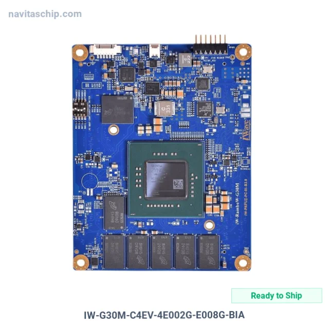 IW-G30M-C4EV-4E002G-E008G-BIA