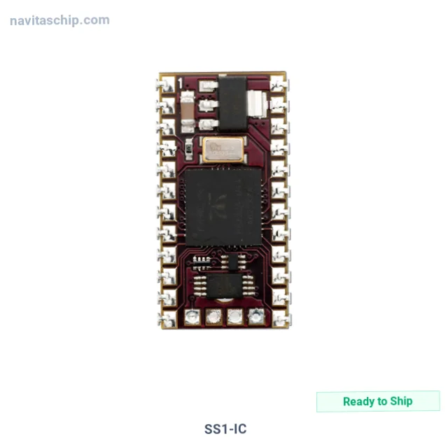SS1-IC