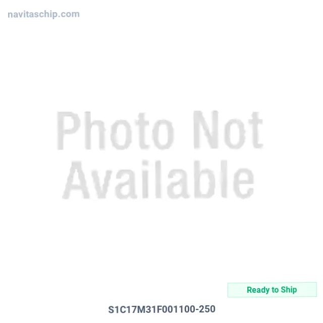 S1C17M31F001100-250