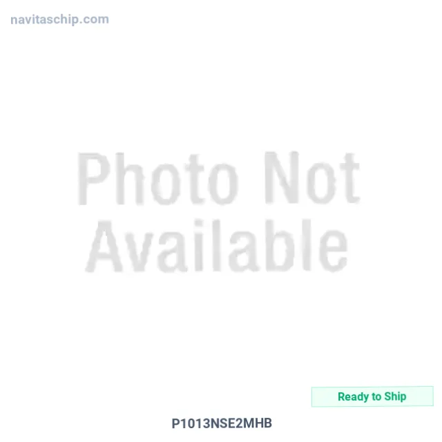 P1013NSE2MHB