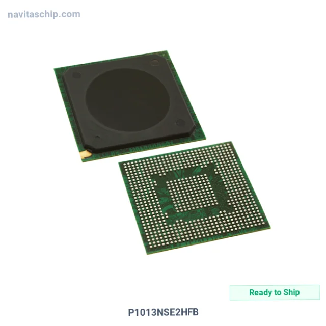 P1013NSE2HFB