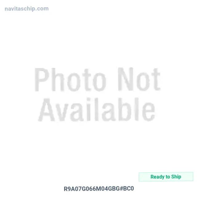 R9A07G066M04GBG#BC0